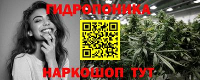 спиды Камышлов