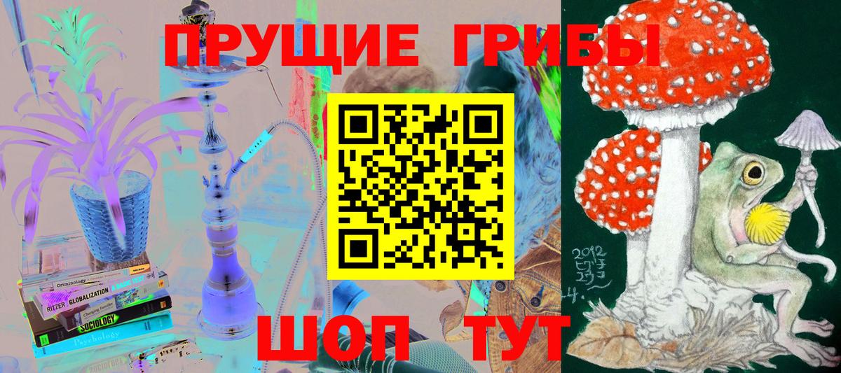Галлюциногенные грибы прущие грибы Новоалександровск